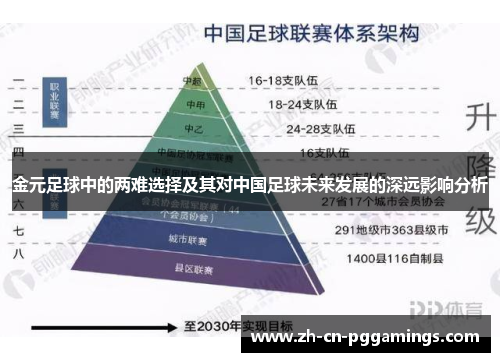 金元足球中的两难选择及其对中国足球未来发展的深远影响分析