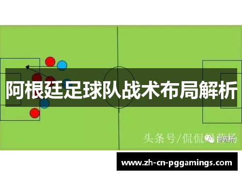 阿根廷足球队战术布局解析