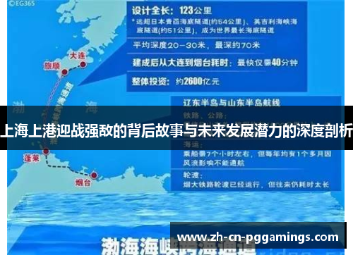 上海上港迎战强敌的背后故事与未来发展潜力的深度剖析