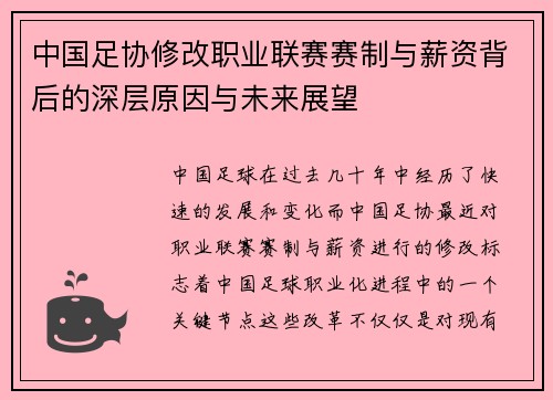 中国足协修改职业联赛赛制与薪资背后的深层原因与未来展望