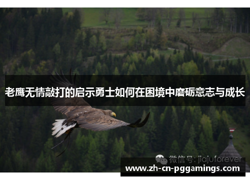 老鹰无情敲打的启示勇士如何在困境中磨砺意志与成长