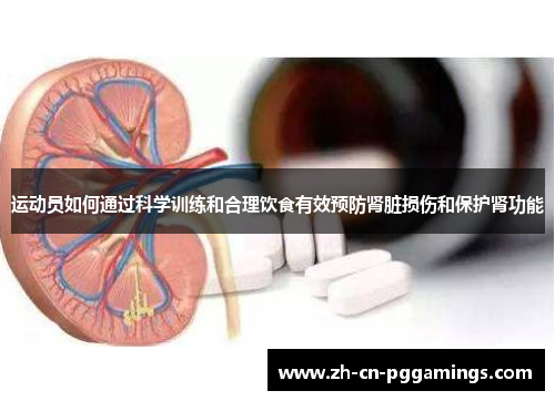 运动员如何通过科学训练和合理饮食有效预防肾脏损伤和保护肾功能
