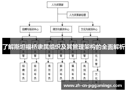 了解斯坦福桥隶属组织及其管理架构的全面解析