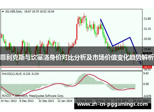 菲利克斯与坎塞洛身价对比分析及市场价值变化趋势解析