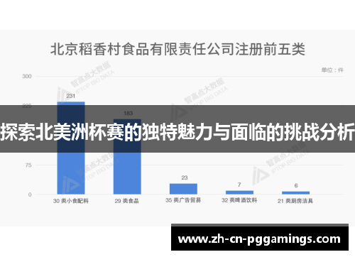 探索北美洲杯赛的独特魅力与面临的挑战分析
